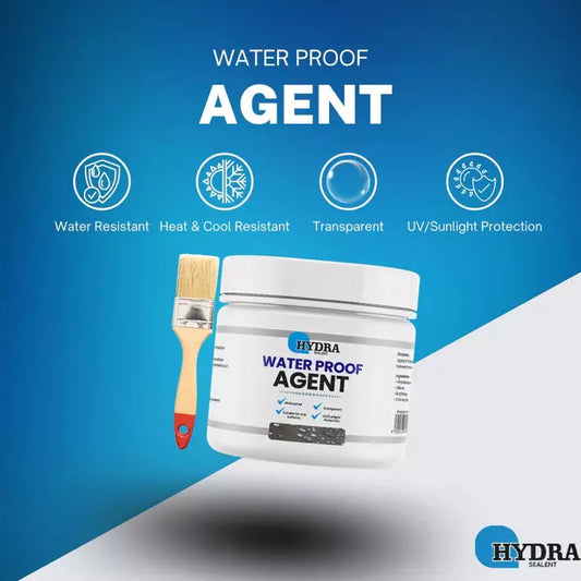 Waterproof Anti-Leakage Agent With Free Brush (350g)