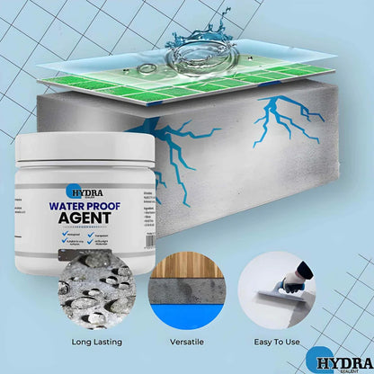 Waterproof Anti-Leakage Agent With Free Brush (350g)