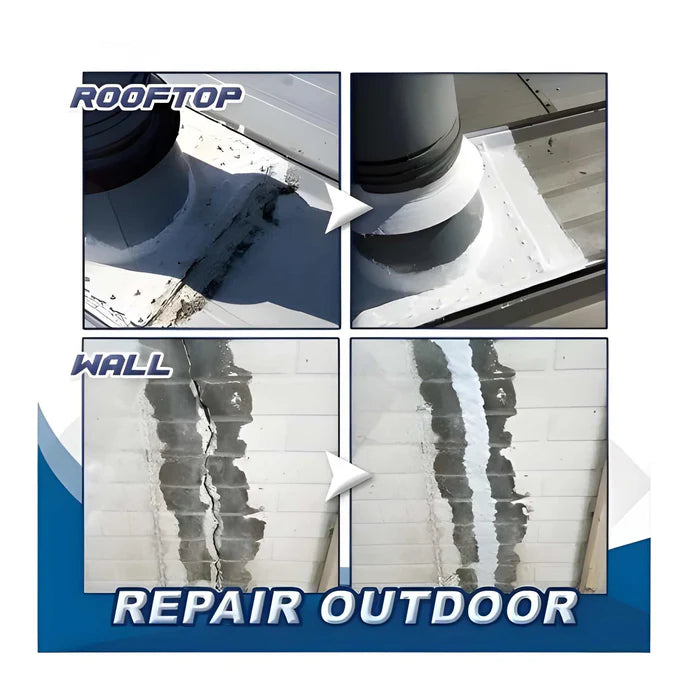 Waterproof Anti-Leakage Agent With Free Brush (350g)