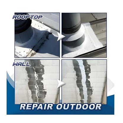 Waterproof Anti-Leakage Agent With Free Brush (350g)